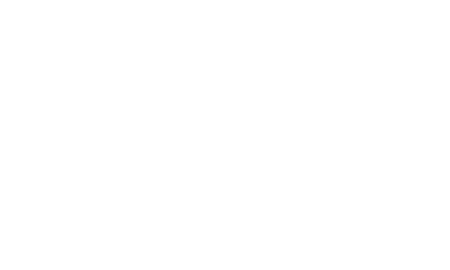 Debix logo